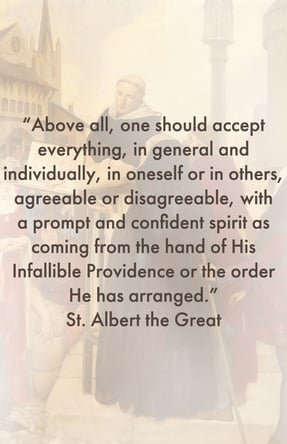 St. Albert the Great quote about theology