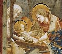 The Nativity giotto 