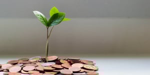 A plant growing out of a pile of coins.