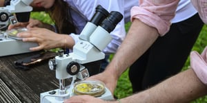 Teachers use microscopes to look for organisms in the water at the Smithsonian Environmental Research Center.