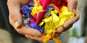 An offering of flowers.