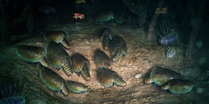 Canadaspis perfecta gathering to mate and moult in the Walcott Quarry of the Burgess Shale (Phyllopod Bed, Layer -350)