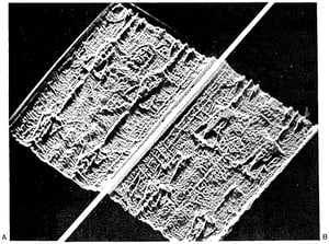 Correlation of image intensity on the Turin Shroud with the 3-D structure of a human body shape.