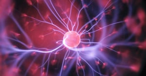 up close image of a particle