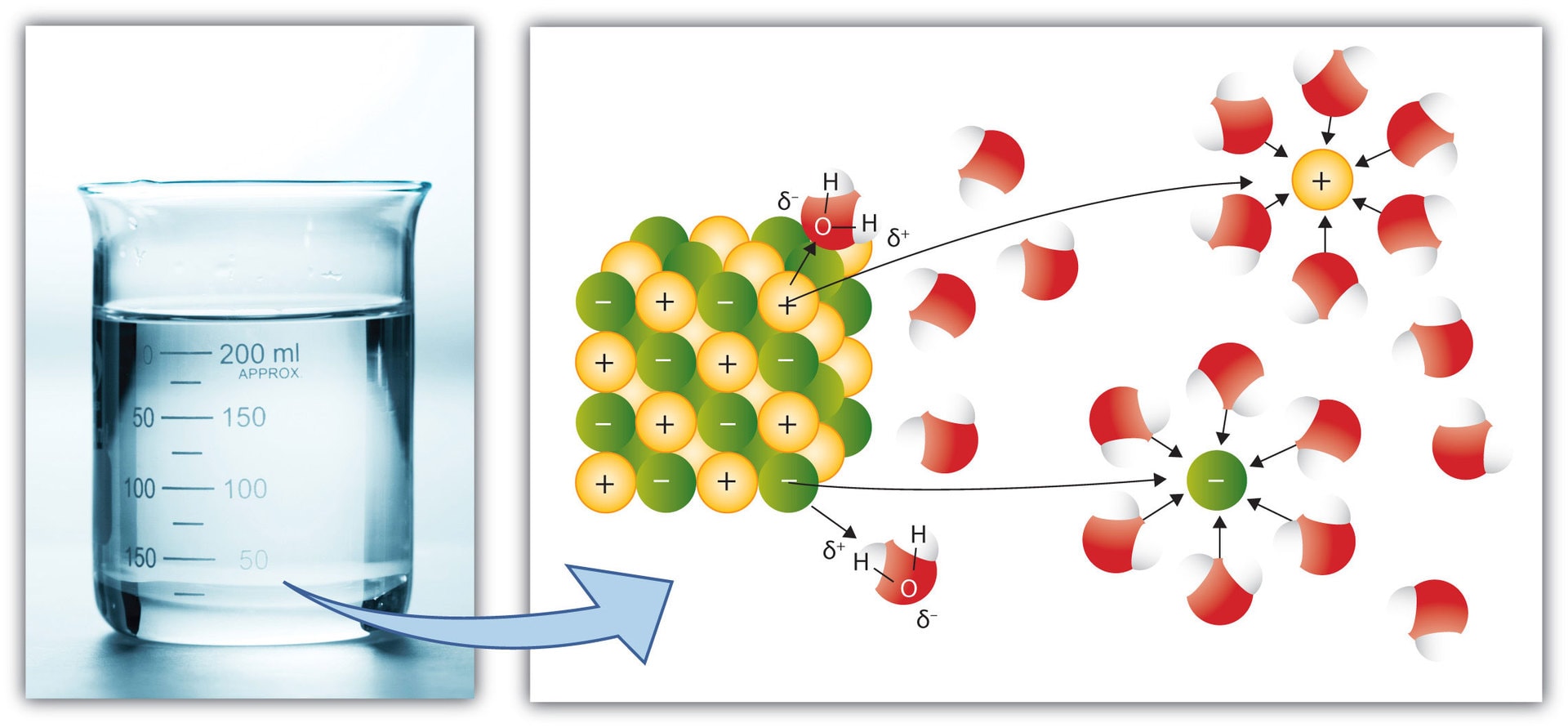 illustration of sodium chloride dissolution