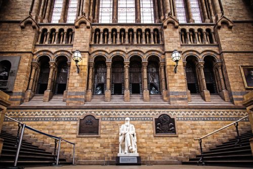 Statue of Darwin, father of evolution