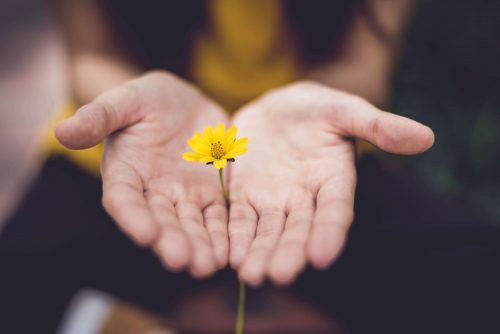 woman offers flower with outstretched hands