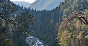 Yuba River