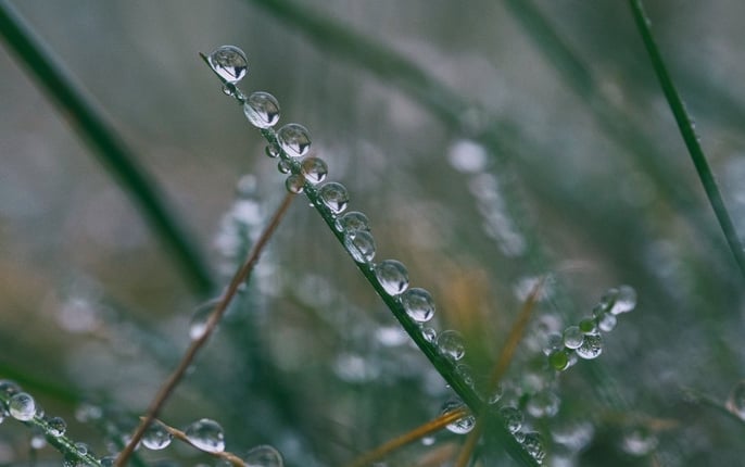 water droplets