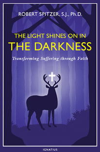 Click to purchase The Light Shines on in the Darkness.