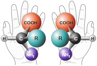 Magis-How-Science-Works-Part-III-What-Science-is-All-About-Left-Right-Hand