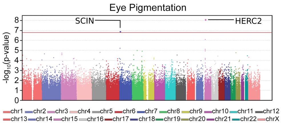 Manhattan_plots_for_eye_pigmentation