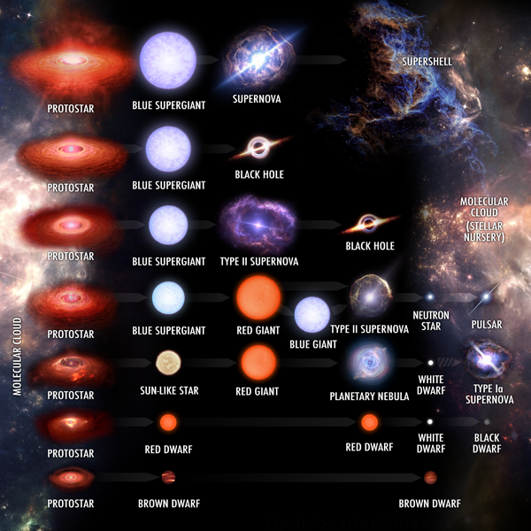 Graph of Different types of stars and their evolution tracks.