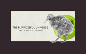 purposeful universe magis center