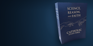 A cover of the Catholic Study Bible