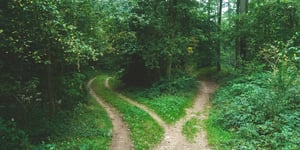 A fork in the road.