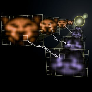 In this photo montage of actual quantum images, two laser beams coming from the bright glare in the distance transmit images of a cat-like face at two slightly different frequencies (represented by the orange and the purple colors).