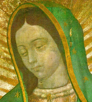 Photograph of an Image of the Tilma of Our Lady of Guadalupe.